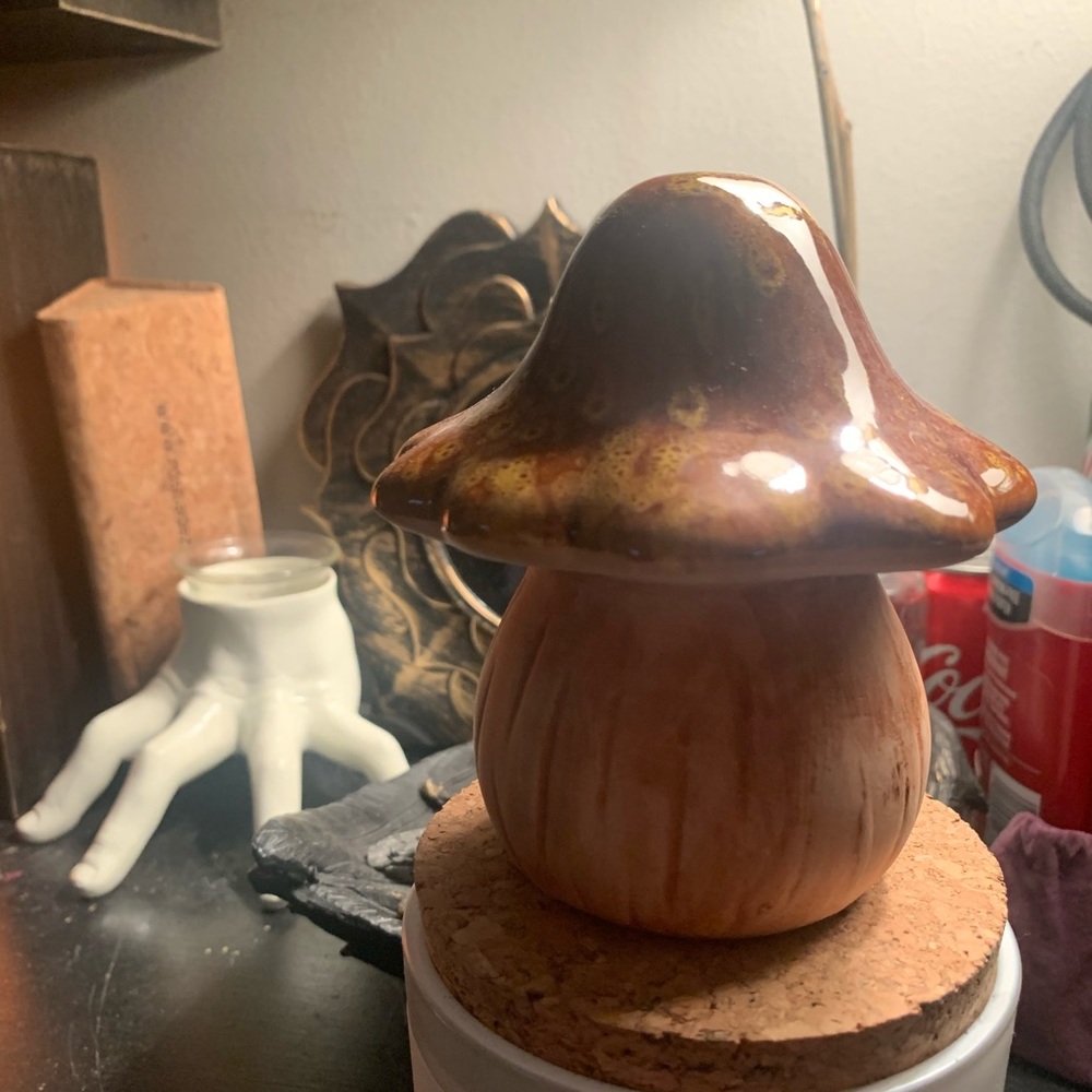 3 diff color mushroom LISA